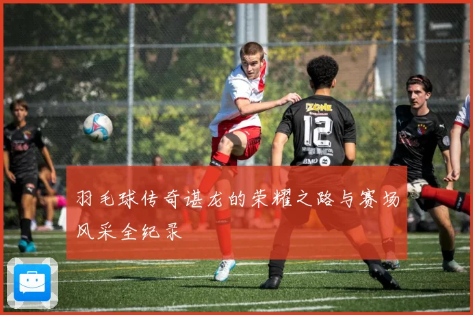羽毛球传奇谌龙的荣耀之路与赛场风采全纪录