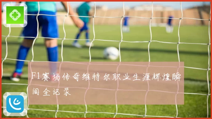 F1赛场传奇维特尔职业生涯辉煌瞬间全记录