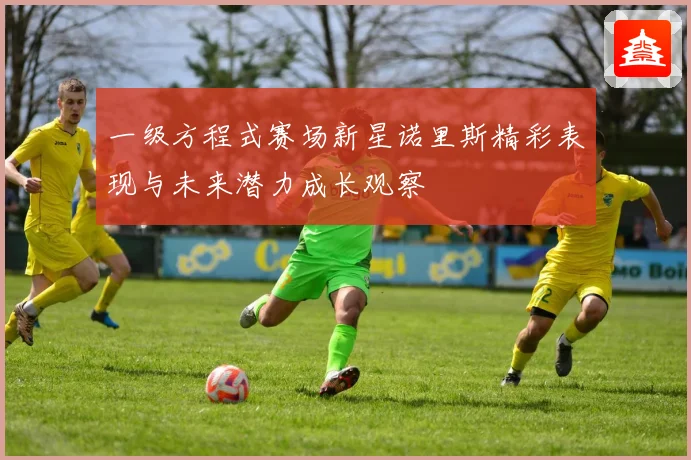 一级方程式赛场新星诺里斯精彩表现与未来潜力成长观察
