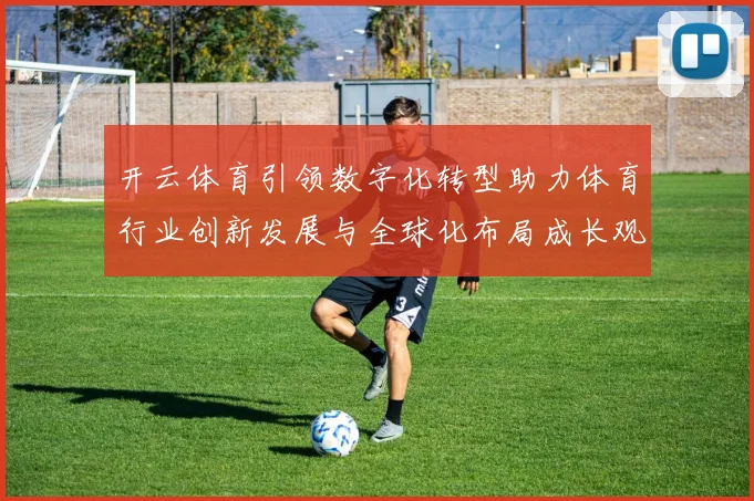 开云体育引领数字化转型助力体育行业创新发展与全球化布局成长观察