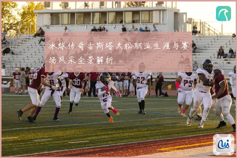冰球传奇古斯塔夫松职业生涯与赛场风采全景解析