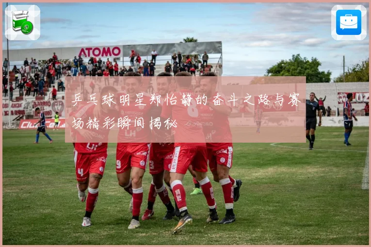 乒乓球明星郑怡静的奋斗之路与赛场精彩瞬间揭秘