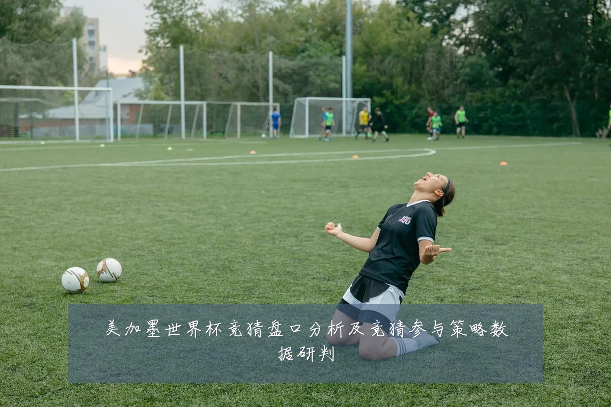 美加墨世界杯竞猜盘口分析及竞猜参与策略数据研判